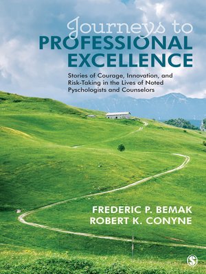 cover image of Journeys to Professional Excellence